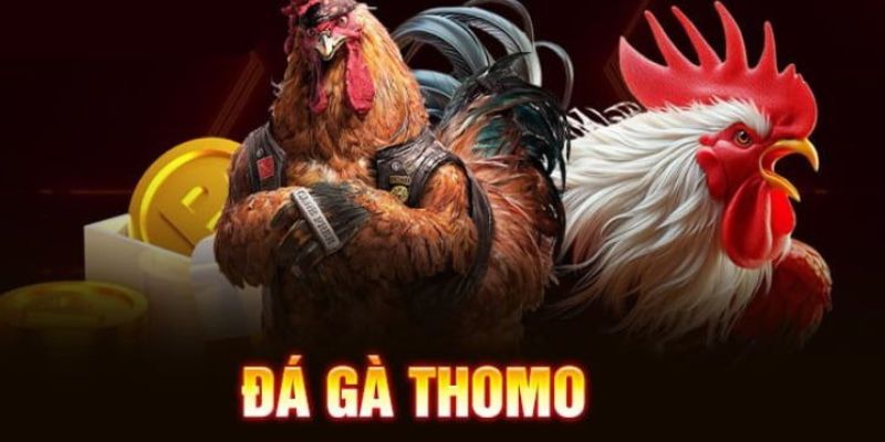 Giao diện thân thiện giúp người chơi dễ dàng cược đá gà Thomo